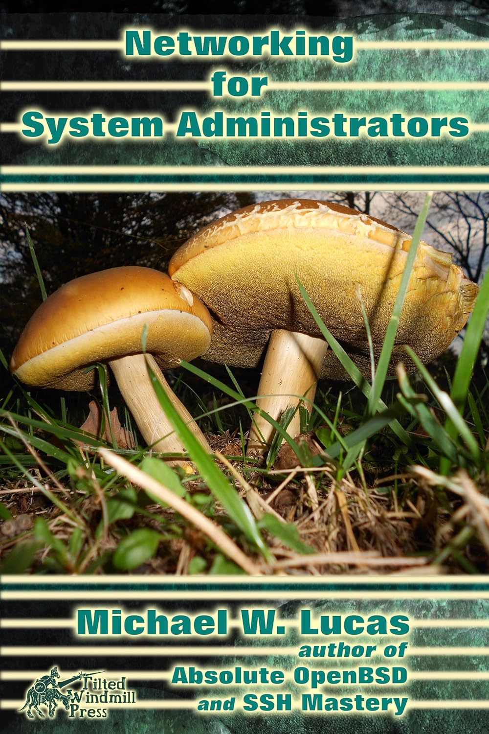 Michael W Lucas: Networking for Systems Administrators (EBook, 2015, Tilted Windmill Press)