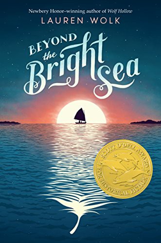 Lauren Wolk: Beyond the Bright Sea (Hardcover, 2017, Dutton Books for Young Readers)