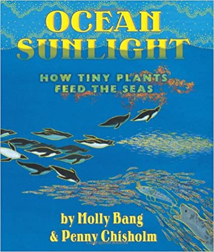 Molly Bang: Ocean sunlight (Hardcover, 2012, Blue Sky Press)