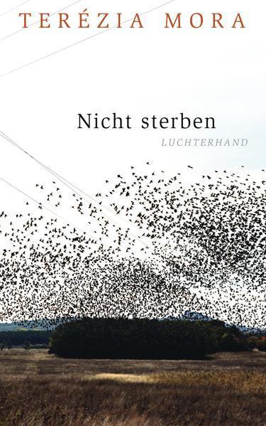 Terézia Mora: Nicht sterben (German language, 2015, Luchterhand)