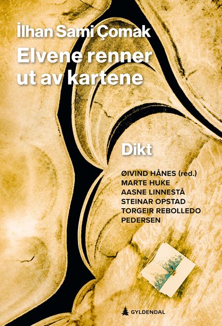 Marte Huke, Aasne Linnestå, Torgeir Rebolledo Pedersen, Øivind Hånes, Ilhan Sami Çomak, Steinar Opstad: Elvene renner ut av kartene (Hardcover, Bokmål language)