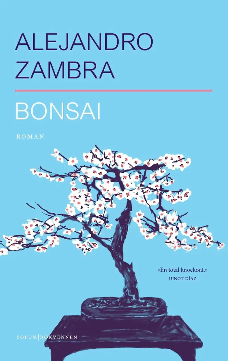 Alejandro Zambra, Øyunn Rishøi Hedemann: Bonzai (Hardcover, Norwegian language, 2017)