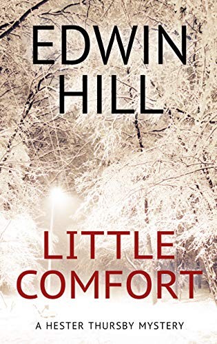 Edwin Hill: Little Comfort (Hardcover, 2018, Thorndike Press Large Print)