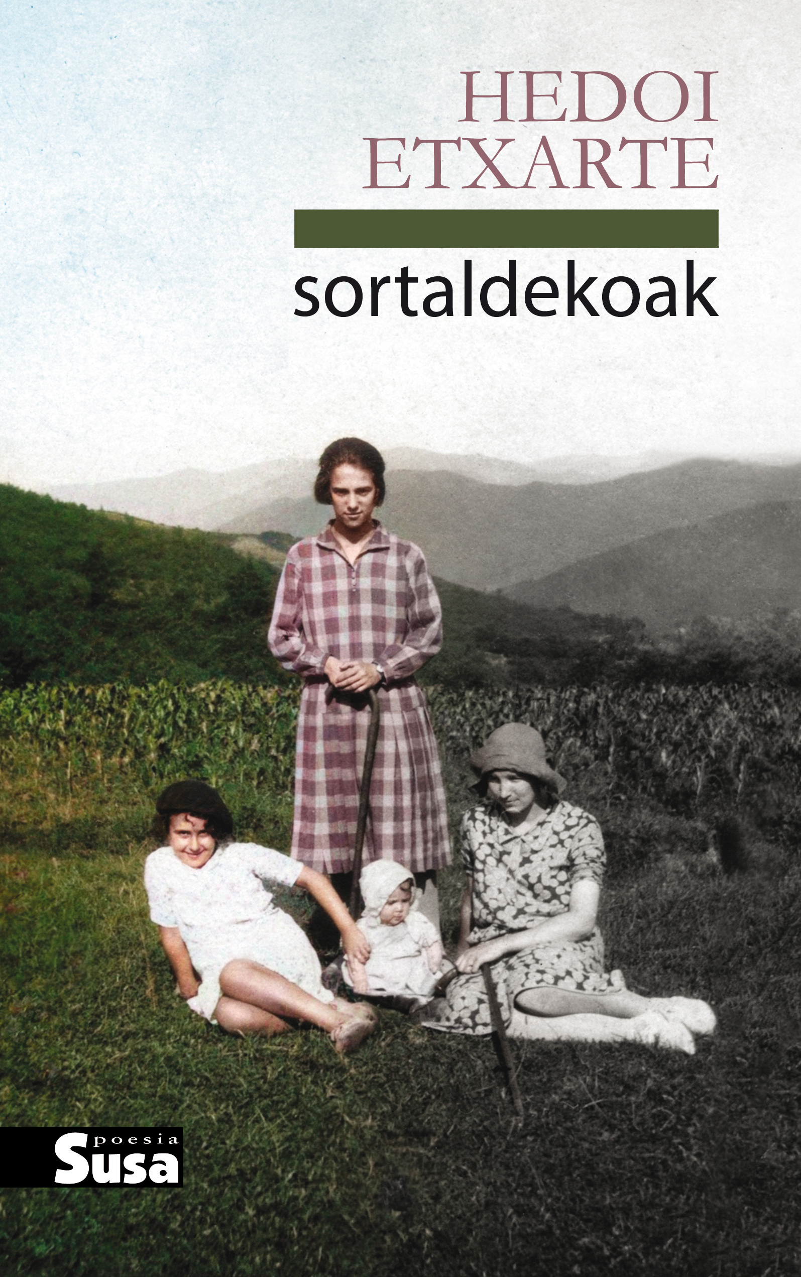 Hedoi Etxarte: Sortaldekoak (Paperback, Euskara language, Susa)