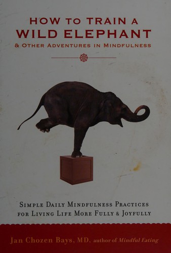 Jan Chozen Bays: How to train a wild elephant (2011, Shambhala)