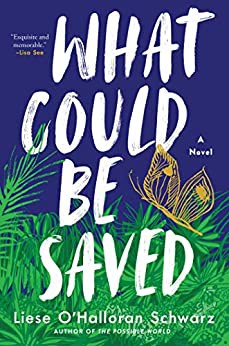 Liese O'Halloran Schwarz: What Could Be Saved (2021, Atria Books)