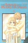 Kaori Yuki: Angel Sanctuary, Bd.3 (Paperback, German language, Carlsen)