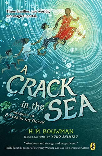 H. M. Bouwman: A Crack in the Sea (Paperback, Puffin Books)