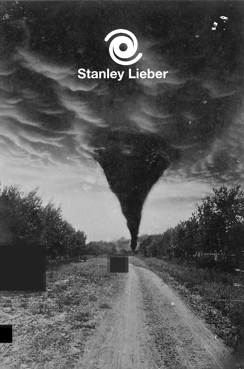 Stanley Lieber: 🌀 (Paperback, Massive Fictions)