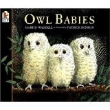 Martin Waddell: Owl Babies (1975, Scholastic)