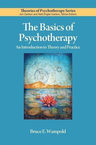Bruce E. Wampold: The basics of psychotherapy (2010)