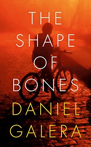 Daniel Galera: The Shape of Bones (Hardcover, 2017, Hamish Hamilton)