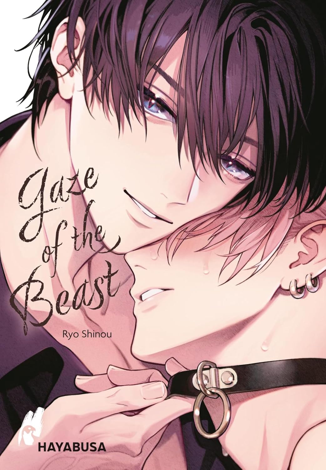 Ryo Shinou: Gaze of the Beast (GraphicNovel, German language, 2025, Hayabusa)