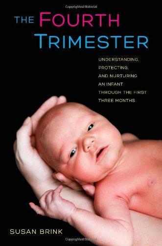 Susan Brink: The Fourth Trimester (2013)