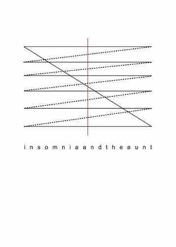 Tan Lin: Insomnia and the Aunt (Paperback, 2011, Kenning Editions)
