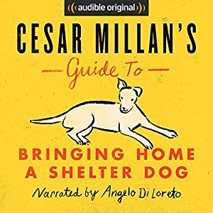 Cesar Millan: Cesar Millan's Guide to Bringing Home a Shelter Dog (AudiobookFormat)