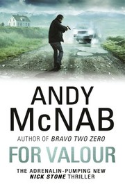 Andy McNab: For Valour: Nick Stone Thriller 16 (Bantam Press)