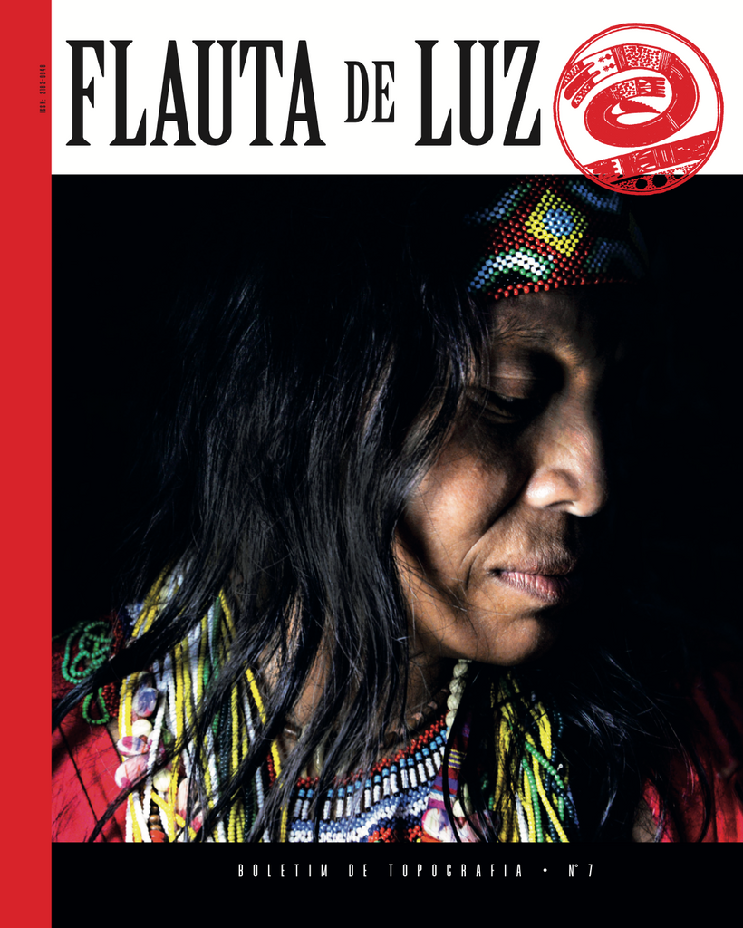 Júlio Henriques: Flauta de Luz (Paperback, Portuguese language, 2020, Antígona)