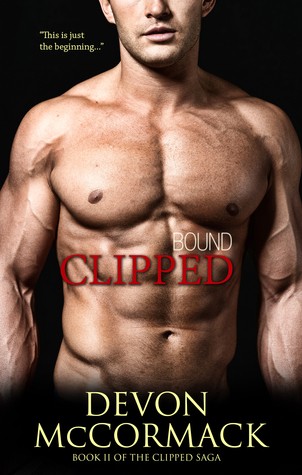 Devon McCormack: Bound (2015, Wilde City Press)