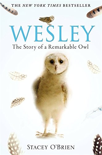 Stacey O'Brien: Wesley: The Story of a Remarkable Owl (2009, Constable)