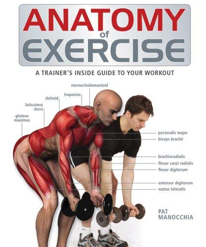 Pat Manocchia: Anatomy of Exercise (Hardcover, Firefly Books)
