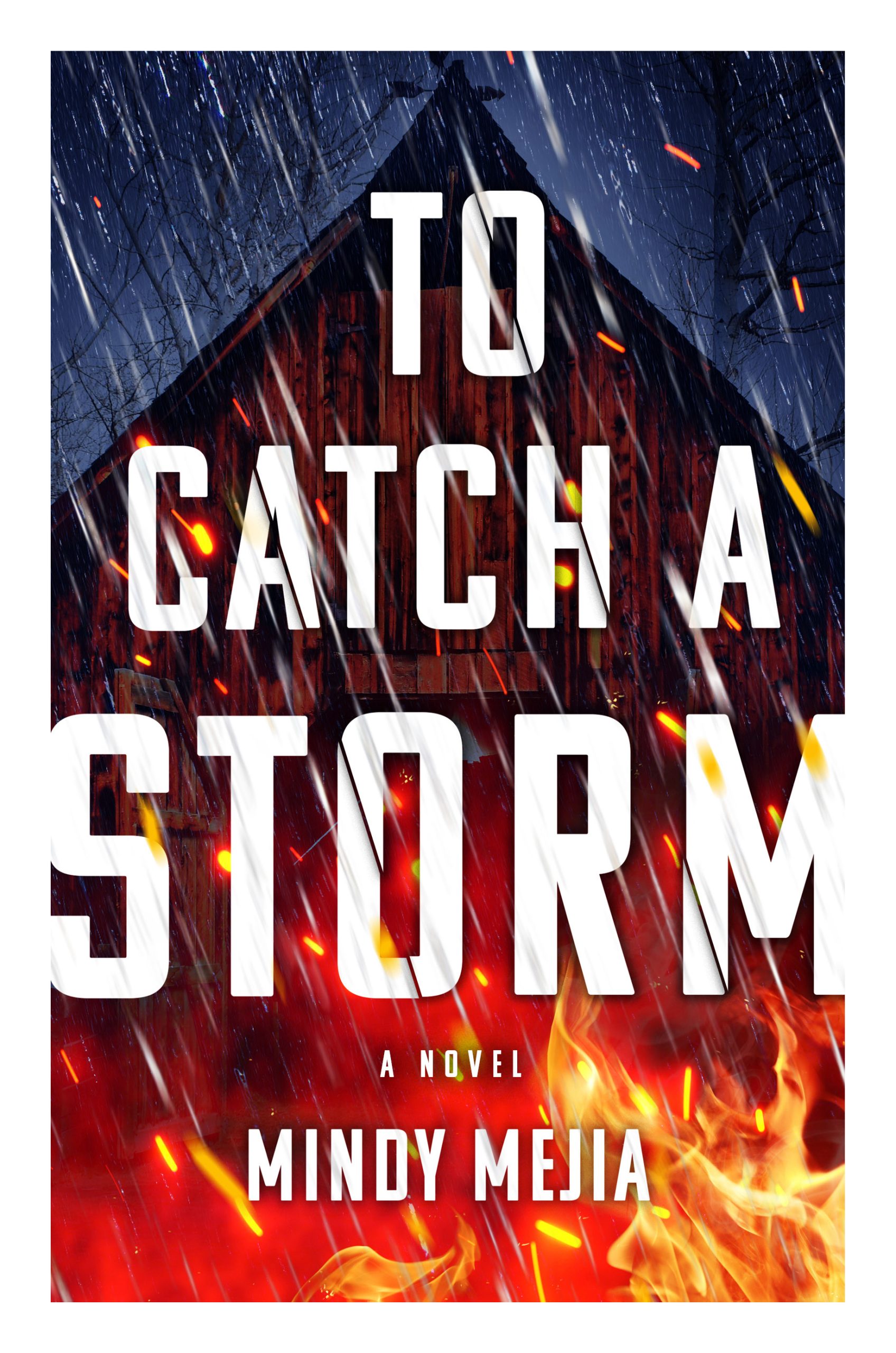 Mindy Mejia: To Catch a Storm (2023, Grove/Atlantic, Incorporated)