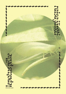 Raisa Jäntti: lepatus pilke (Paperback, Finnish language, Enostone)