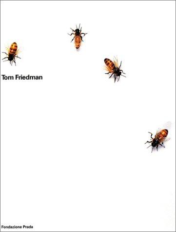 Mario Perniola, Patrizio Bertelli, Tom Friedman: Tom Friedman (2 Volume Set, Slipcase;  English Edition) (Paperback, 2003, Fondazione Prada)