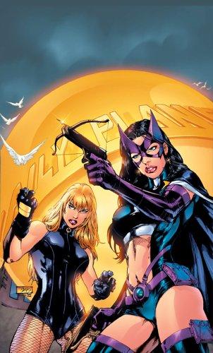 Gail Simone: Birds of Prey Vol. 4 (Paperback, 2006, DC Comics)