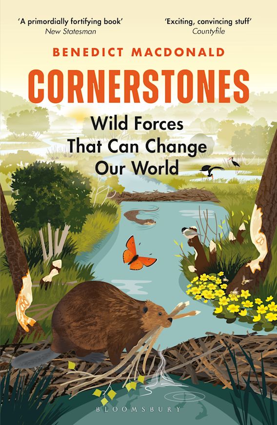 Benedict Macdonald: Cornerstones (Paperback, 2023, Bloomsbury Publishing Plc)