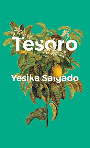 Yesika Salgado: Tesoro (Hardcover, Not a Cult)