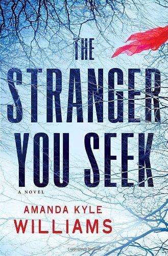 Amanda Kyle Williams: The Stranger You Seek (Keye Street #1) (2011)