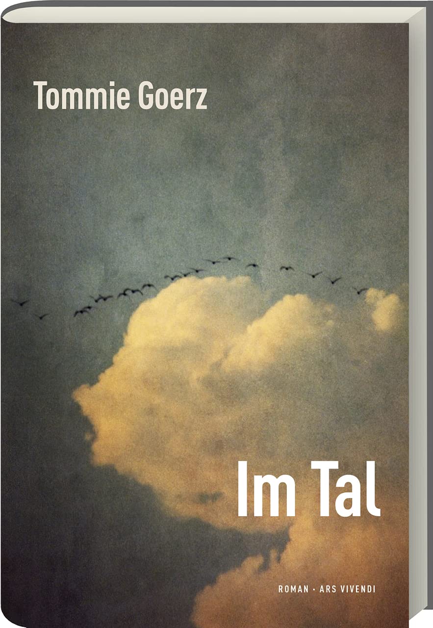 Tommie Goerz: Im Tal (Paperback, Deutsch language)