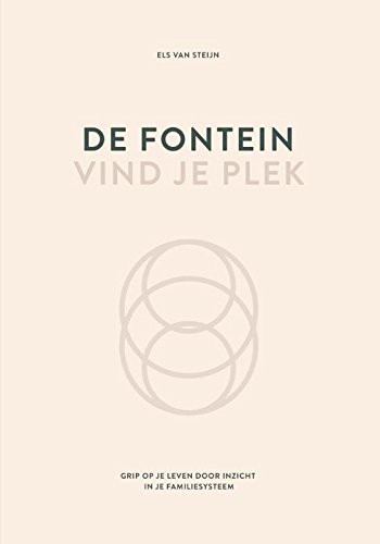 Els van Steijn: De fontein, vind je plek (Hardcover, 2016, Noorderlicht, Het)