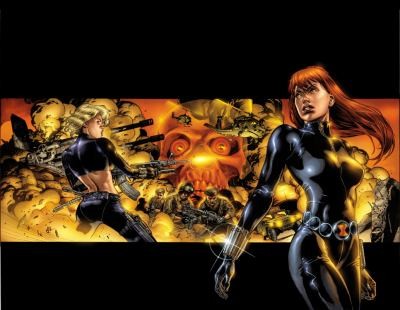 Devin Grayson: Black Widow The Itsybitsy Spider (2011, Marvel Comics)