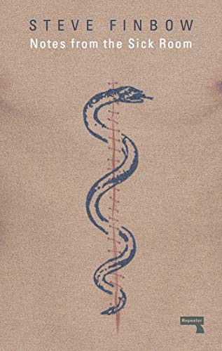 Steve Finbow: Notes from the Sick Room (Paperback, 2017, Repeater, REPEATER)