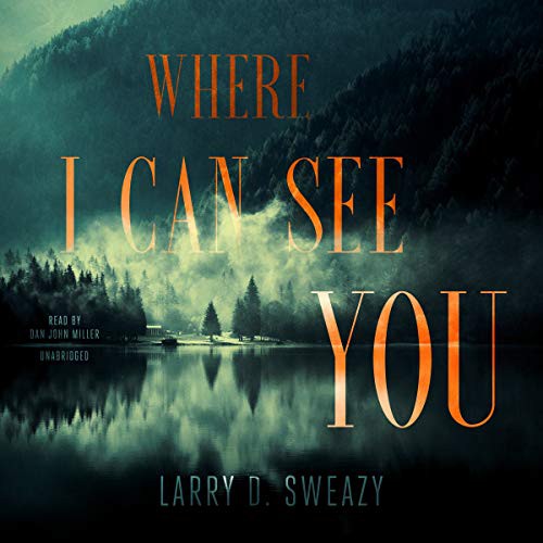 Larry D. Sweazy: Where I Can See You (AudiobookFormat, 2021, Blackstone Publishing)