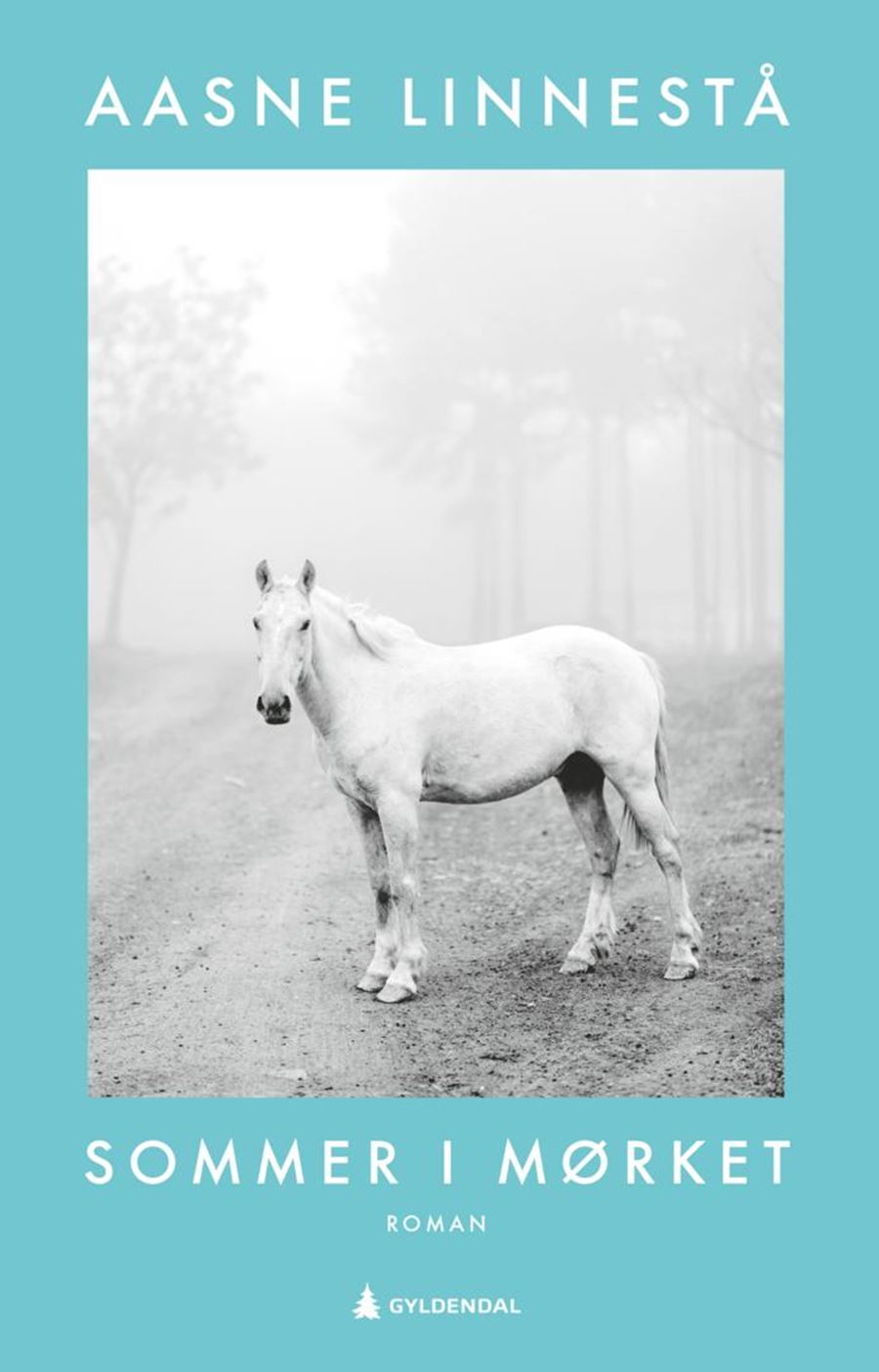 Aasne Linnestå: Sommer i mørket (Hardcover, Bokmål language, 2023, Gyldendal)