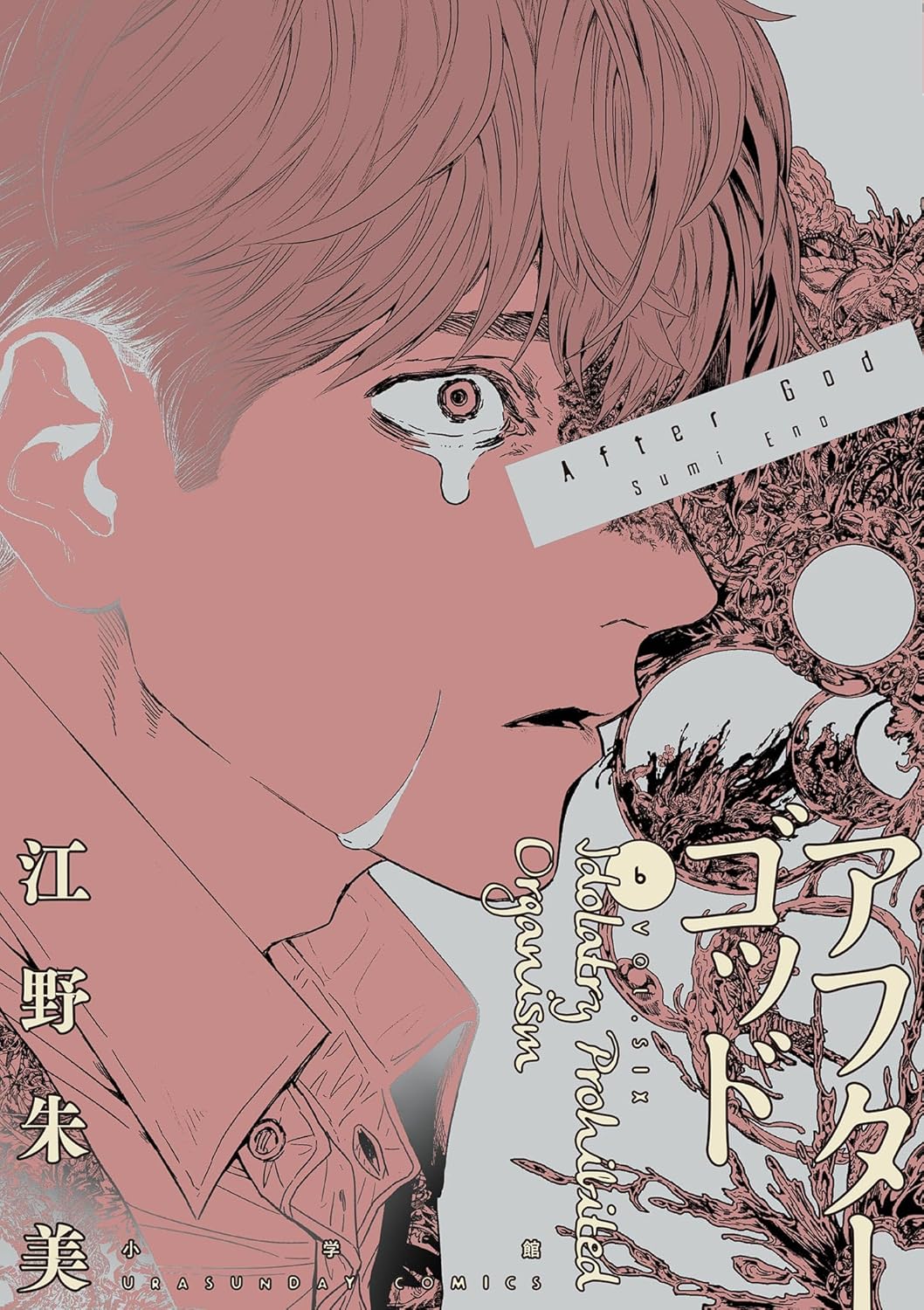 Sumi Eno: アフターゴッド 6 (Japanese language)