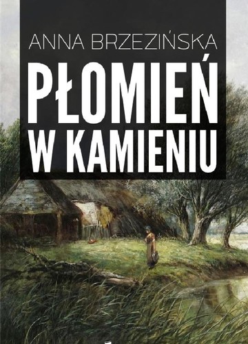 Anna Brzezińska: Płomień w kamieniu (EBook, Polish language, 2014, Code Red Tomasz Stachewicz)