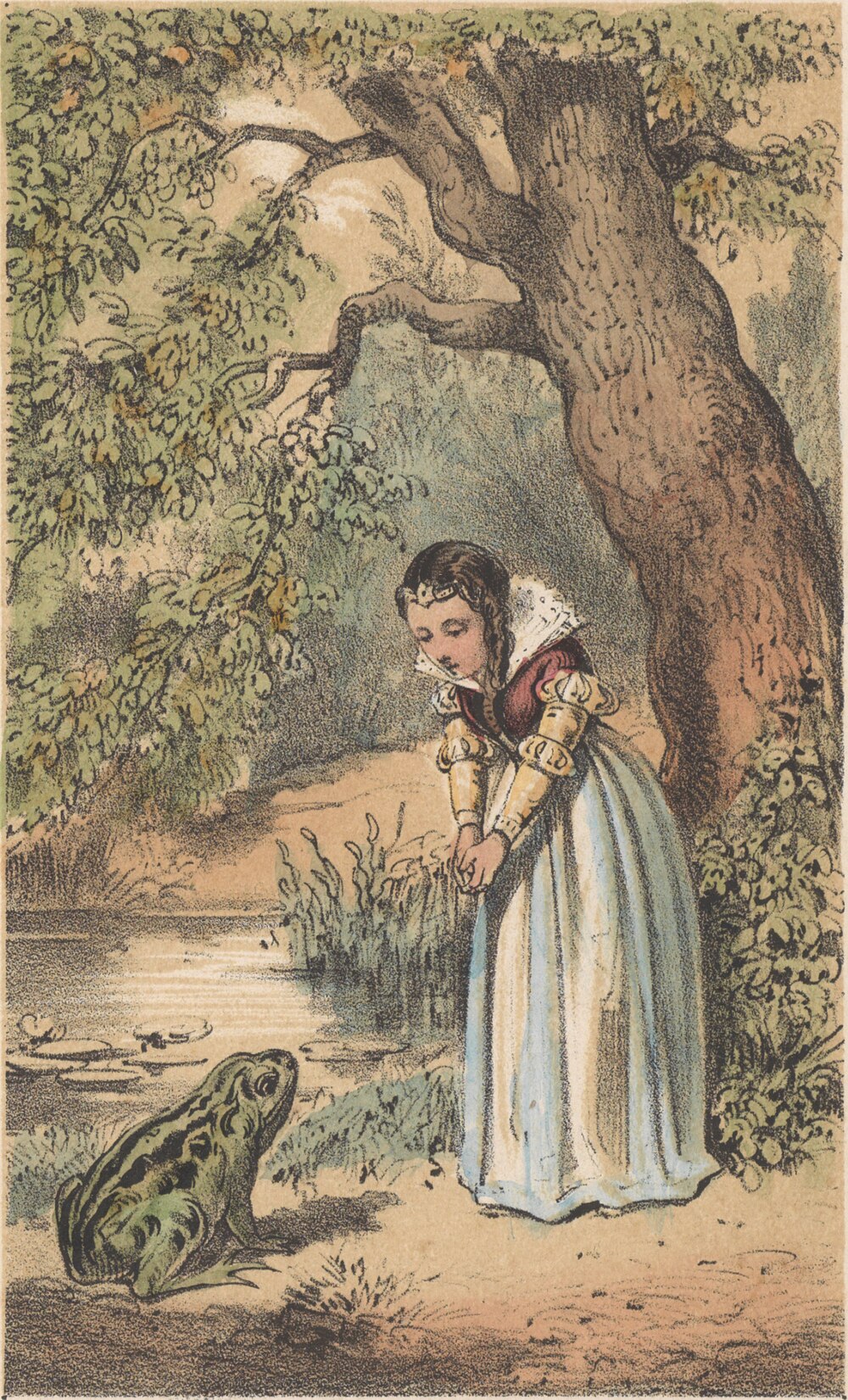 Brothers Grimm, Wilhelm Grimm, Jacob Grimm: De koning der kikvorschen, of de IJzeren Hendrik (Dutch language, 1870)