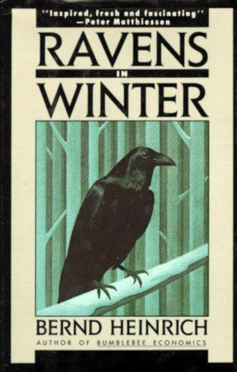 Bernd Heinrich: Ravens in Winter (1991)