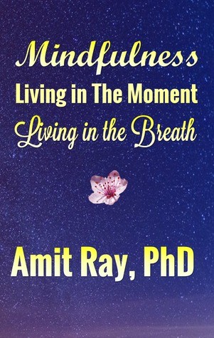 Amit Ray: Mindfulness : Living in the Moment - Living in the Breath (2015, Inner Light Publishers)