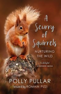Polly Pullar, Romain Pizzi: Scurry of Squirrels (2022, Birlinn, Limited)