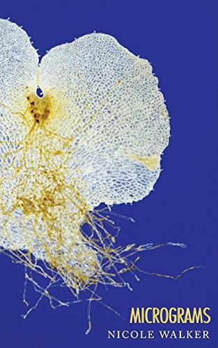 Nicole Walker: Micrograms (Paperback, 2016, New Michigan Press)