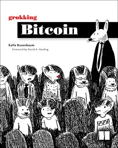 Kalle Rosenbaum: Grokking Bitcoin (Paperback, Manning Publications)