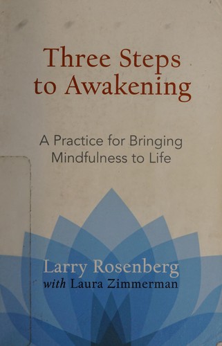 Larry Rosenberg: Three steps to awakening (2013)