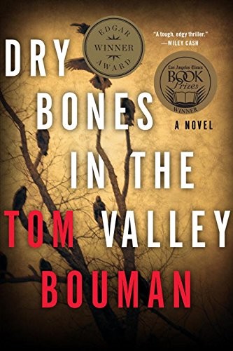 Tom Bouman: Dry Bones in the Valley (Paperback, 2015, W. W. Norton & Company)