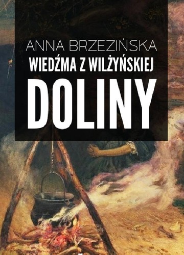 Anna Brzezińska: Wiedźma z Wilżyńskiej Doliny (EBook, Polish language, 2014, Code Red Tomasz Stachewicz)