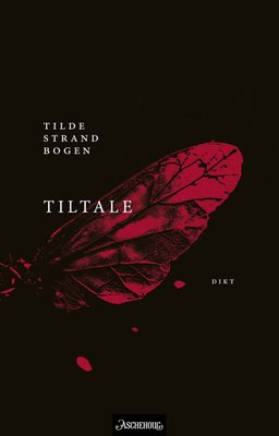 Tilde Strand Bogen: Tiltale (Hardcover, Bokmål language, 2025, Aschehoug)